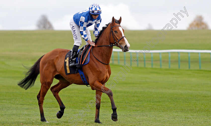 Soto-Sizzler-0001 
 SOTO SIZZLER (Ryan Moore) winner of The 888sport Handicap
Newmarket 29 Oct 2021 - Pic Steven Cargill / Racingfotos.com