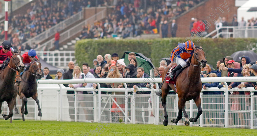 Paddington-0007 
 PADDINGTON (Ryan Moore) wins The Qatar Sussex Stakes
Goodwood 2 Aug 2023 - Pic Steven Cargill / Racingfotos.com