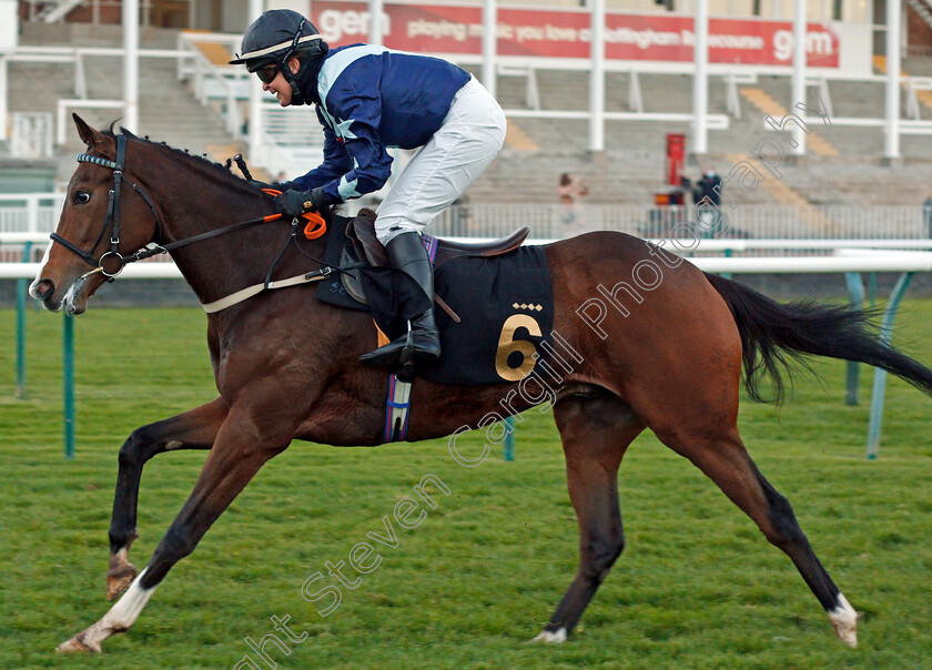 Bad-Company-0005 
 BAD COMPANY (Serena Brotherton) wins The AJA Handicap
Nottingham 4 Nov 2020 - Pic Steven Cargill / Racingfotos.com