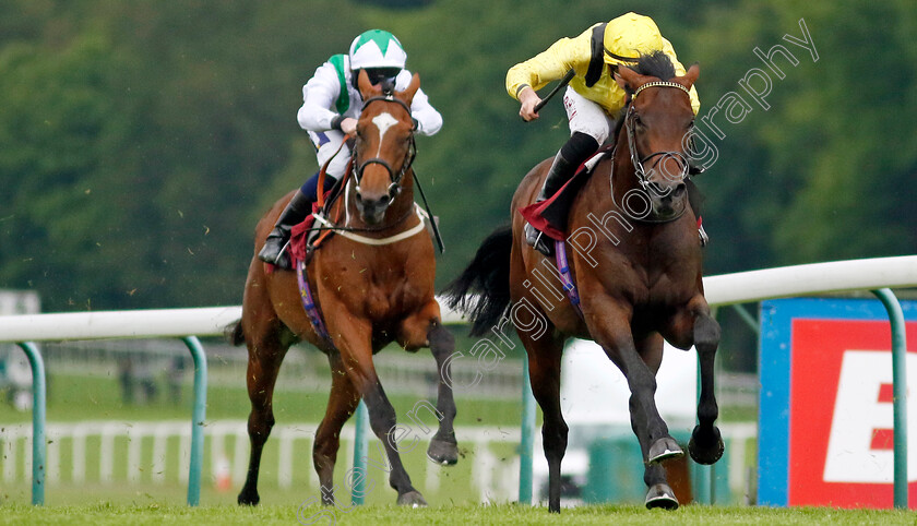 Yaroogh-0006 
 YAROOGH (Tom Marquand) wins The Betfred Supporting Macmillan Novice Stakes
Haydock 24 May 2024 - Pic Steven Cargill / Racingfotos.com