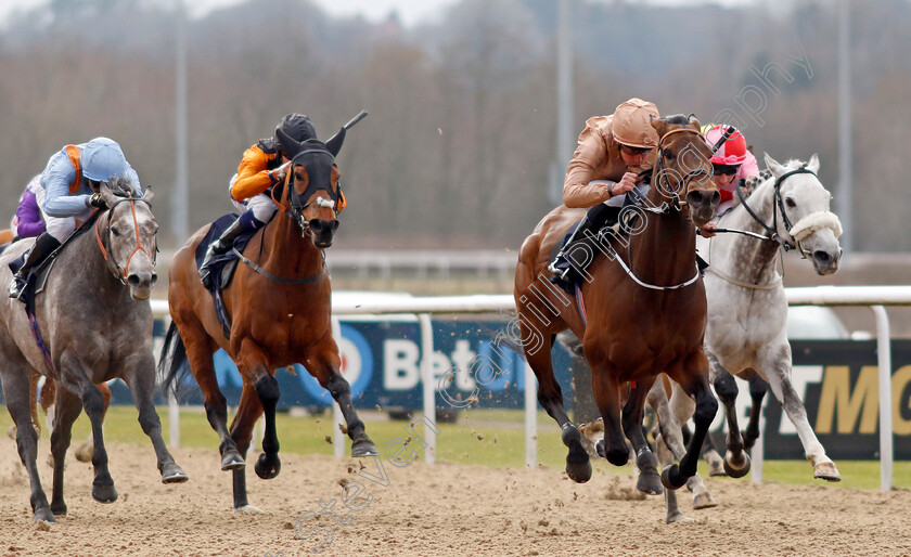 Nine-Tenths-0003 
 NINE TENTHS (2nd right, William Buick) beats MISTY GREY (right) and SHOULDVEBEENARING (left) in The Betmgm Lady Wulfruna Stakes
Wolverhampton 9 Mar 2024 - Pic Steven Cargill / Racingfotos.com