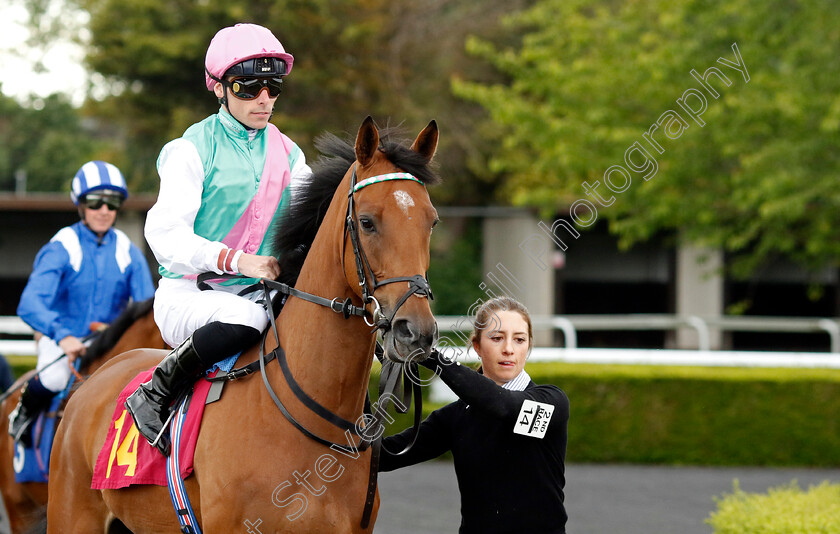 Zilfee-0011 
 ZILFEE (Kieran Shoemark) winner of The Unibet EBF Maiden Fillies Stakes
Kempton 12 Jun 2024 - Pic Steven Cargill / Racingfotos.com