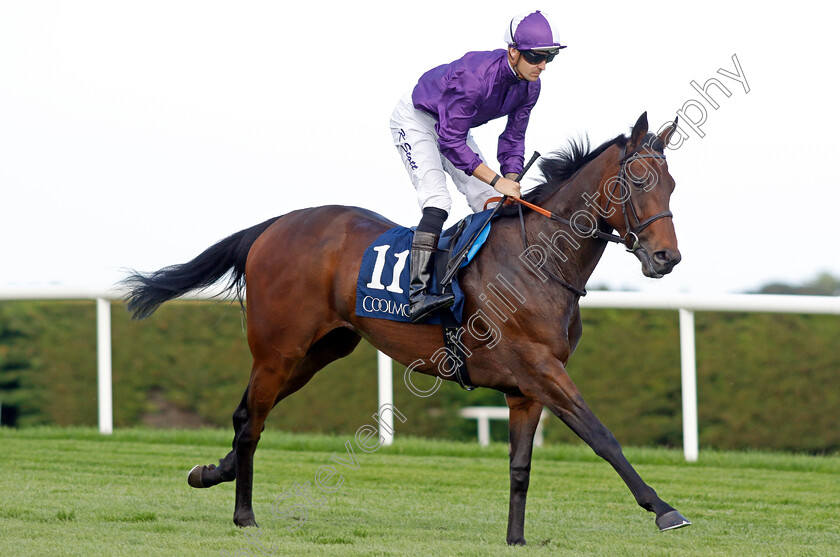 Olivia-Maralda-0001 
 OLIVIA MARALDA (Kevin Stott)
Leopardstown 9 Sep 2023 - Pic Steven Cargill / Racingfotos.com