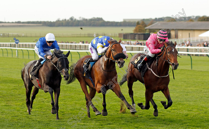 Sons-And-Lovers-0004 
 SONS AND LOVERS (right, David Egan) beats PLACO (centre) and POINT SUR (left) in The Virgin Bet Daily Price Boost Maiden Stakes
Newmarket 7 Oct 2023 - Pic Steven Cargill / Racingfotos.com