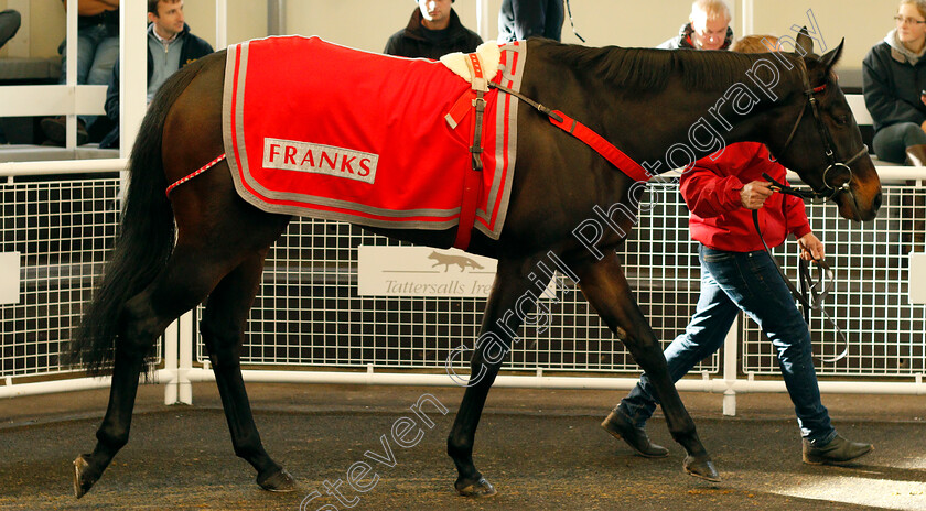 Lot-0045-Mercers-£5000-0001 
 Lot 045 MERCERS selling for £5000 at Tattersalls Ireland Ascot November Sale 9 Nov 2017 - Pic Steven Cargill / Racingfotos.com