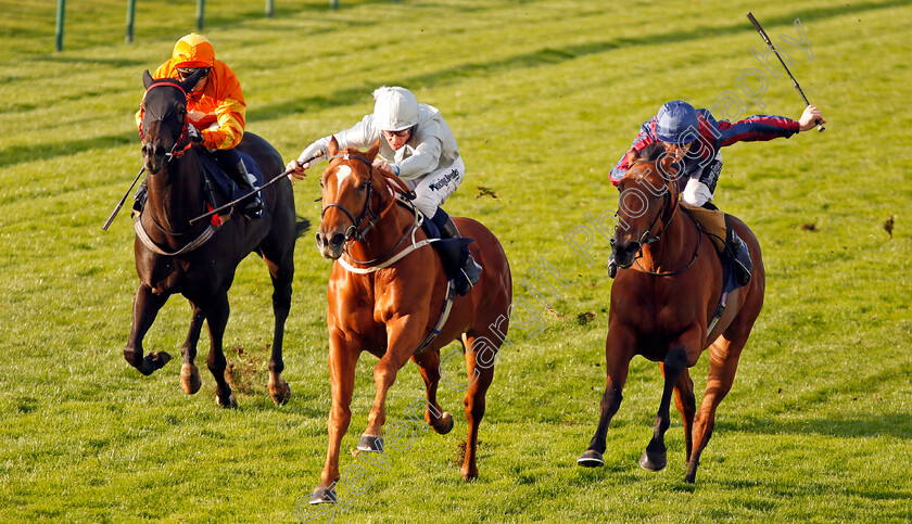 Poet s-Society-0002 
 POET'S SOCIETY (centre, Jim Crowley) beats MAGICAL DREAMER (right) and ANNIE SALTS (left) in The Wainwright Golden Ale Handicap Yarmouth 19 Sep 2017 - Pic Steven Cargill / Racingfotos.com