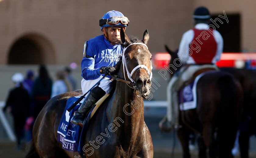 Immersive-0010 
 IMMERSIVE (Manuel Franco) winner of the Breeders' Cup Juvenile Fillies 
Del Mar USA 1 Nov 2024 - Pic Steven Cargill / Racingfotos.com