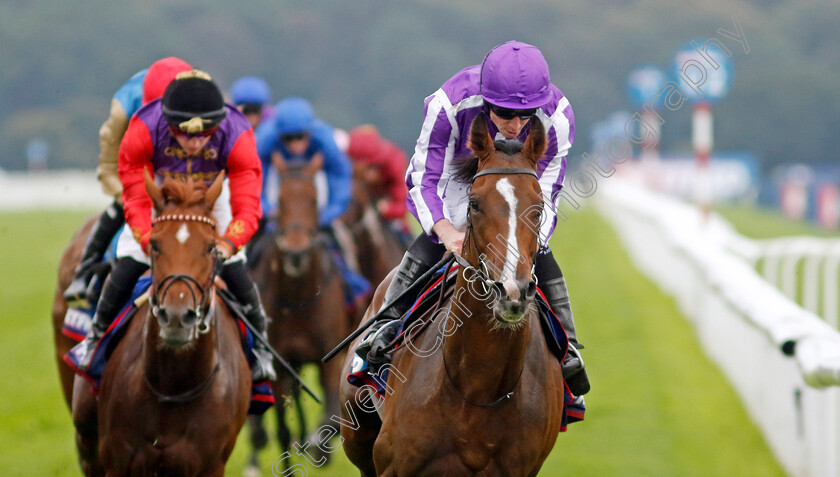 Continuous-0003 
 CONTINUOUS (Ryan Moore) wins The Betfred St Leger Stakes
Doncaster 16 Sep 2023 - Pic Steven Cargill / Racingfotos.com