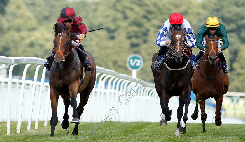 Rogue-0004 
 ROGUE (Thore Hammer Hansen) beats LOS CAMACHOS (2nd right) in The coral.co.uk Handicap
Sandown 7 Jul 2018 - Pic Steven Cargill / Racingfotos.com