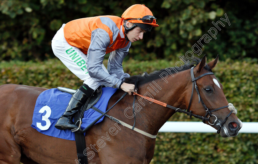 Tigerinmytank-0001 
 TIGERINMYTANK (Luke Morris)
Kempton 18 Sep 2018 - Pic Steven Cargill / Racingfotos.com