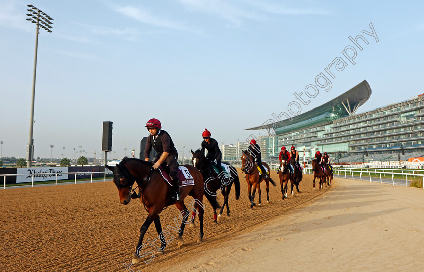 Tower-Of-London,-Auguste-Rodin-and-Luxembourg-0001 
 TOWER OF LONDON leads AUGUSTE RODIN, LUXEMBOURG and co. Aidan O'Brien string training at The Dubai World Cup
Meydan Dubai 28 Mar 2024 - Pic Steven Cargill / Racingfotos.com