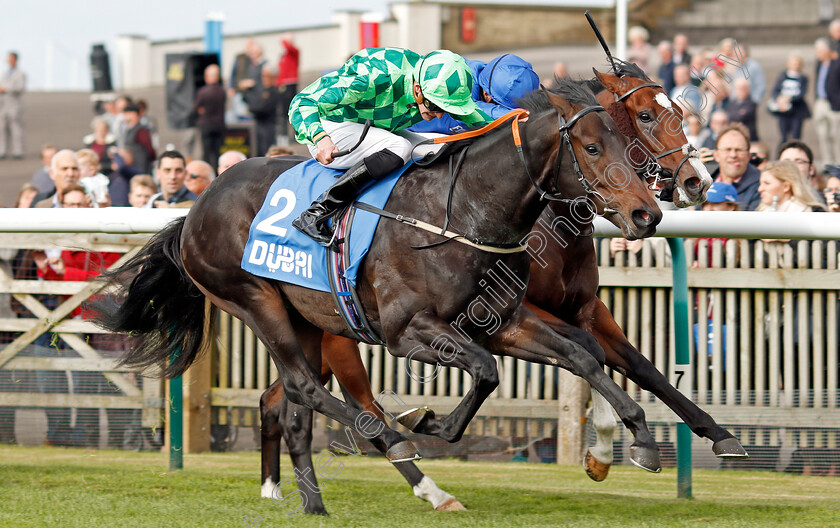 Abel-Handy-0003 
 ABEL HANDY (left, James Doyle) beats SOUND AND SILENCE (right) in The Newmarket Academy Godolphin Beacon Project Cornwallis Stakes Newmarket 13 Oct 2017 - Pic Steven Cargill / Racingfotos.com