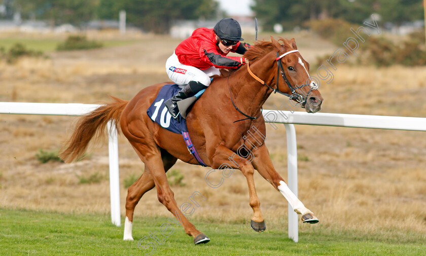 Cumulonimbus-0003 
 CUMULONIMBUS (Hollie Doyle) wins The Friary Farm Caravan Park Handicap
Yarmouth 13 Sep 2022 - Pic Steven Cargill / Racingfotos.com