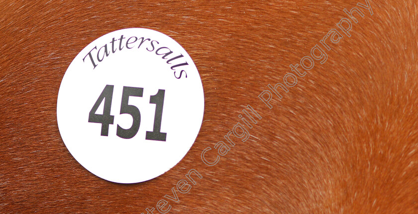 Tattersalls-0003 
 Lot sticker at Tattersalls Sales
Newmarket 10 Oct 2019 - Pic Steven Cargill / Racingfotos.com