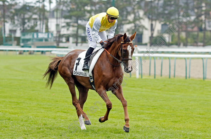 Strassia-0001 
 STRASSIA (T Bachelot)
Deauville 3 Aug 2024 - Pic Steven Cargill / Racingfotos.com