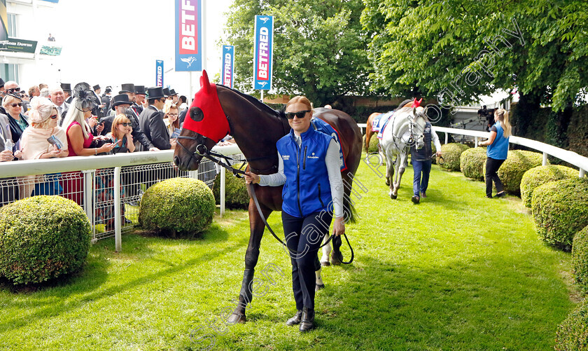 Military-Order-7558 
 MILITARY ORDER
Epsom 3 Jun 2023 - Pic Steven Cargill / Racingfotos.com