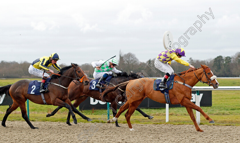 Gold-Brocade-0002 
 GOLD BROCADE (Ben Curtis) wins The Ladbrokes Where The Nation Plays Handicap
Lingfield 2 Jan 2020 - Pic Steven Cargill / Racingfotos.com