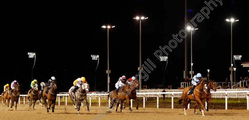 Mercury-0001 
 MERCURY (Martin Harley) wins The Go Homes Land Handicap Chelmsford 7 Dec 2017 - Pic Steven Cargill / Racingfotos.com