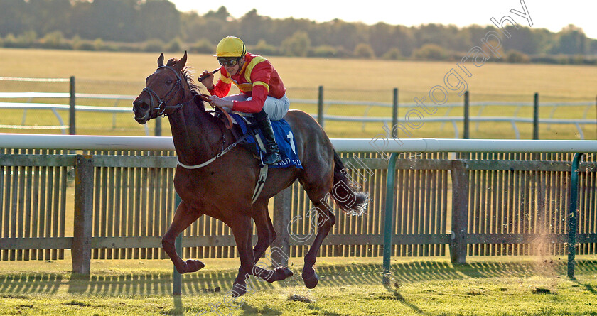 Data-Protection-0004 
 DATA PROTECTION (James Doyle) wins The Shadwell Farm Handicap
Newmarket 27 Sep 2019 - Pic Steven Cargill / Racingfotos.com