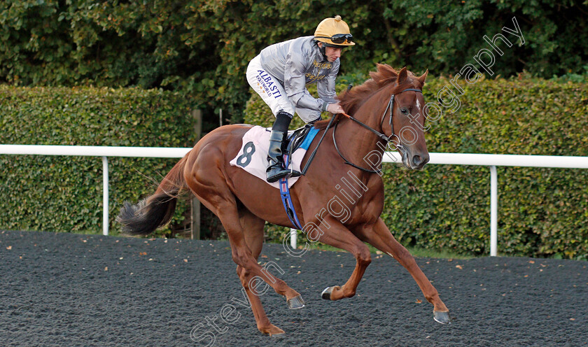 Saeer-0001 
 SAEER (Ryan Moore)
Kempton 2 Oct 2019 - Pic Steven Cargill / Racingfotos.com