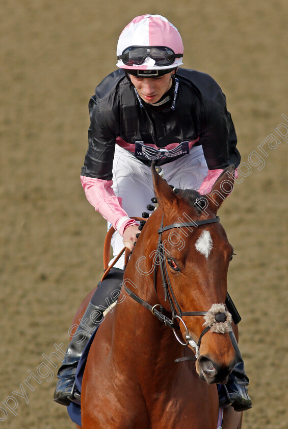 After-Eight-0003 
 AFTER EIGHT (Callum Hutchinson) winner of The Betway Median Auction Maiden Stakes
Lingfield 9 Mar 2022 - Pic Steven Cargill / Racingfotos.com