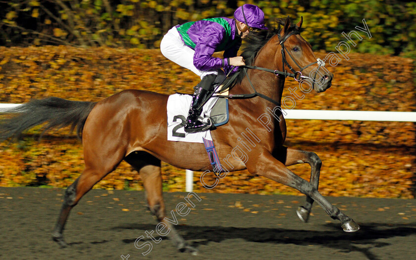 Eastern-Sheriff-0002 
 EASTERN SHERIFF (James Doyle) winner of The 100% Profit Boost At 32redsport.com Novice Median Auction Stakes
Kempton 20 Nov 2019 - Pic Steven Cargill / Racingfotos.com