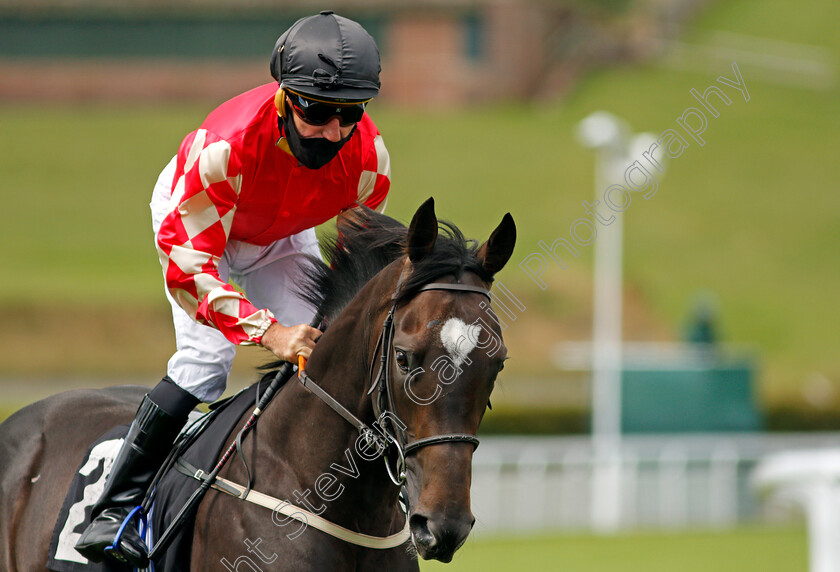 This-Ones-For-Fred-0001 
 THIS ONES FOR FRED (John Egan)
Goodwood 30 Aug 2020 - Pic Steven Cargill / Racingfotos.com