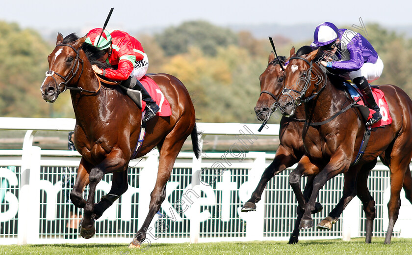 Flying-Dragon-0008 
 FLYING DRAGON (Tom Marquand) beats DAMON RUNYON (right) in The Smarkets EBF Novice Stakes
Sandown 19 Sep 2018 - Pic Steven Cargill / Racingfotos.com