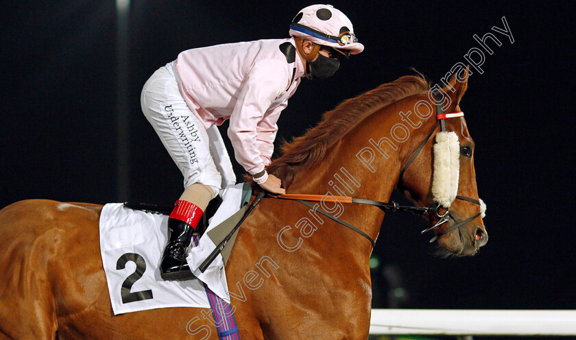 Jeremiah-0003 
 JEREMIAH (Andrea Atzeni)
Kempton 2 Dec 2020 - Pic Steven Cargill / Racingfotos.com