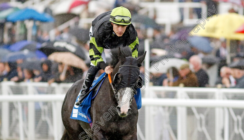 Gifted-Angel-0001 
 GIFTED ANGEL (Richard Kingscote)
Chester 10 May 2023 - pic Steven Cargill / Racingfotos.com