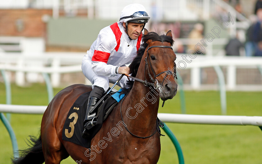 Deauville-Legend 
 DEAUVILLE LEGEND (Neil Callan)
Nottingham 13 Oct 2021 - Pic Steven Cargill / Racingfotos.com