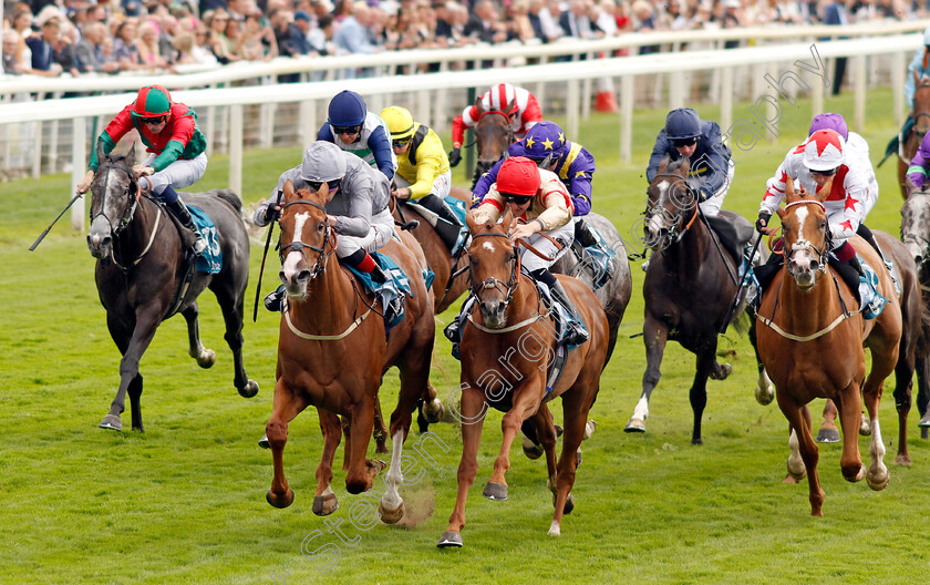 Thunder-Run-0004 
 THUNDER RUN (left, David Egan) beats MIRSKY (centre) in The Clipper Handicap
York 22 Aug 2024 - Pic Steven Cargill / Racingfotos.com