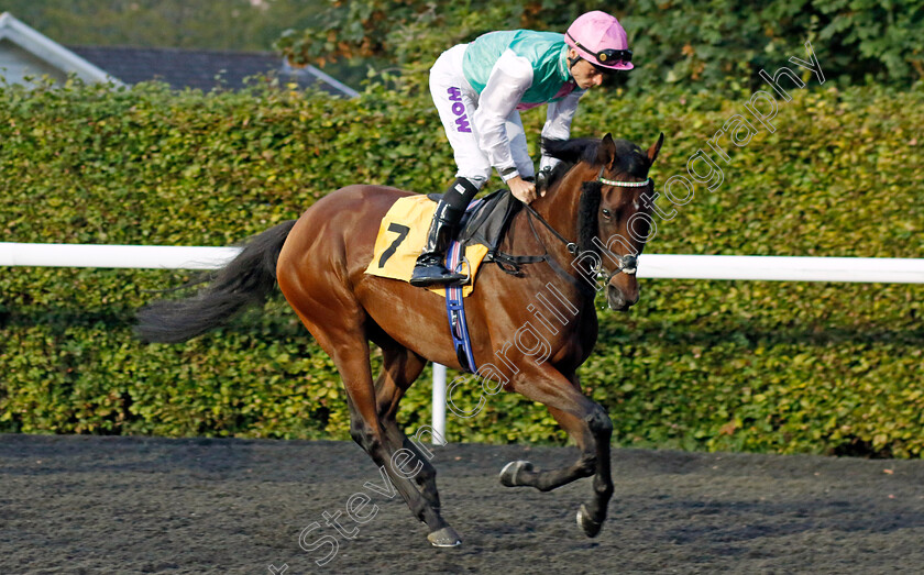 Ludmilla-0001 
 LUDMILLA (Kieran Shoemark)
Kempton 8 Sep 2023 - Pic Steven Cargill / Racingfotos.com