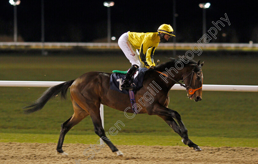 Muay-Thai-0001 
 MUAY THAI (Rossa Ryan) winner of The Ladbrokes Watch Racing Online For Free Handicap
Wolverhampton 11 Jan 2021 - Pic Steven Cargill / Racingfotos.com