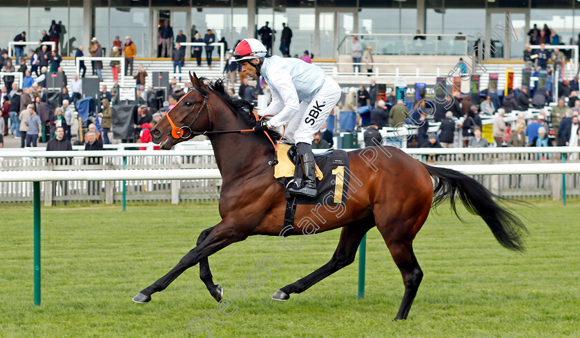 Art-Of-Romance-0001 
 ART OF ROMANCE (Sean Levey)
Newmarket 18 Apr 2023 - Pic Steven Cargill / Racingfotos.com