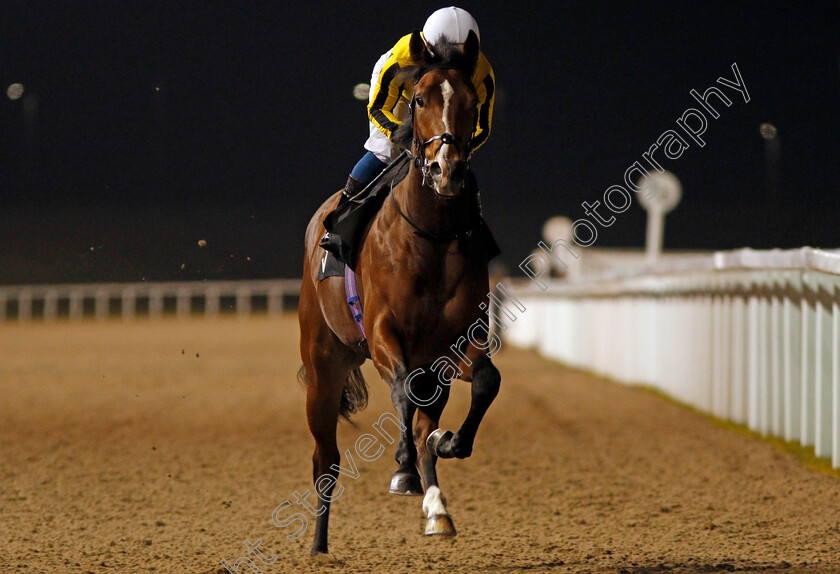 Best-Blue-0001 
 BEST BLUE (Silvestre De Sousa) Chelmsford 23 Nov 2017 - Pic Steven Cargill / Racingfotos.com