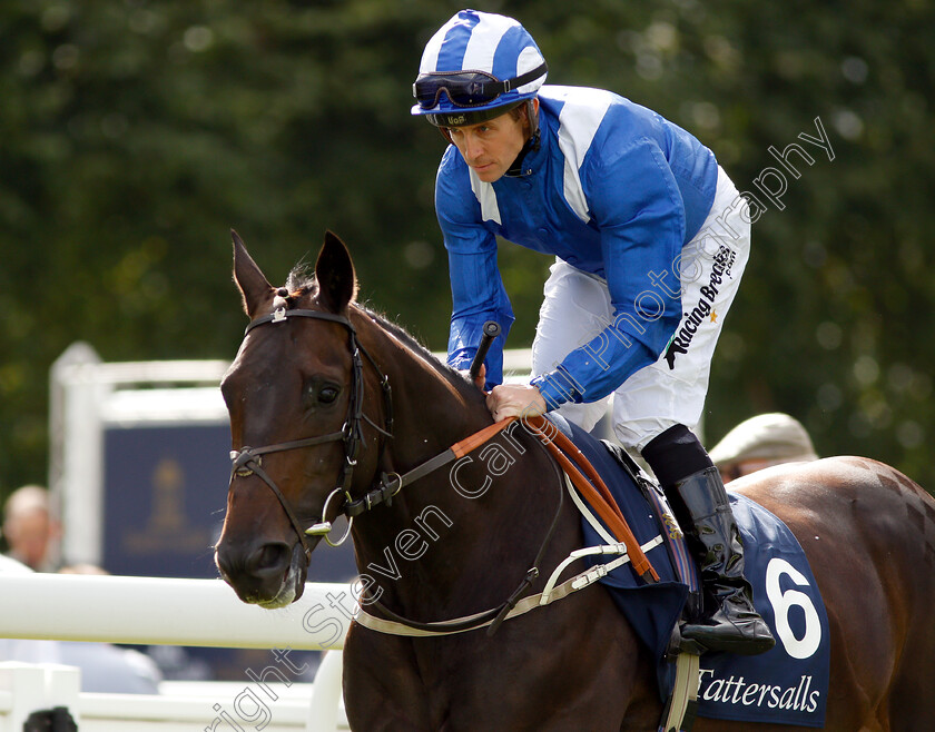 Elarqam-0003 
 ELARQAM (Jim Crowley)
Salisbury 16 Aug 2018 - Pic Steven Cargill / Racingfotos.com