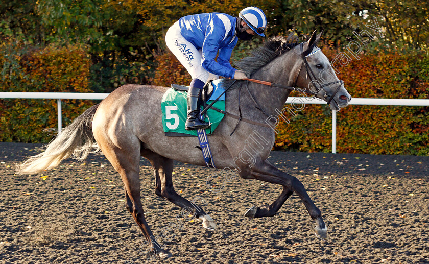 Alqifaar-0001 
 ALQIFAAR (Jim Crowley)
Kempton 2 Nov 2020 - Pic Steven Cargill / Racingfotos.com