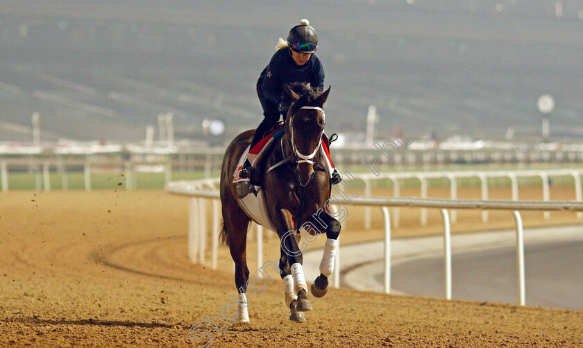 Life-Is-Good-0015 
 LIFE IS GOOD training for the Dubai World Cup
Meydan, Dubai, 22 Mar 2022 - Pic Steven Cargill / Racingfotos.com