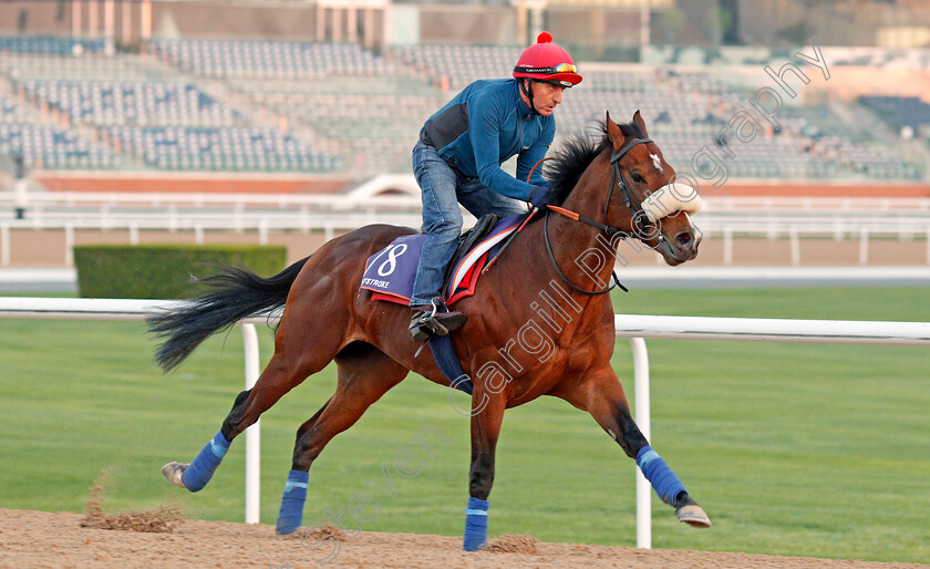 Keystroke-0002 
 KEYSTROKE, trained by Jeremy Noseda, exercising in preparation for The Dubai World Cup Carnival, Meydan 18 Jan 2018 - Pic Steven Cargill / Racingfotos.com