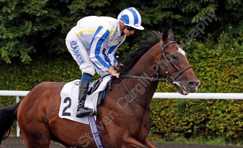 Edwardtheninth-0001 
 EDWARDTHENINTH (Joey Haynes)
Kempton 7 Aug 2024 - Pic Steven Cargill / Racingfotos.com