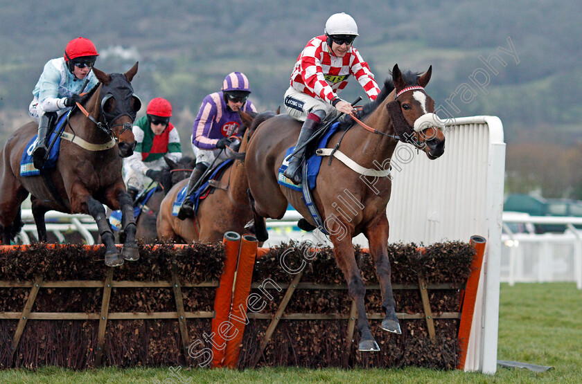 Lovenormoney-0002 
 LOVENORMONEY (Aidan Coleman) Cheltenham 1 Jan 2018 - Pic Steven Cargill / Racingfotos.com