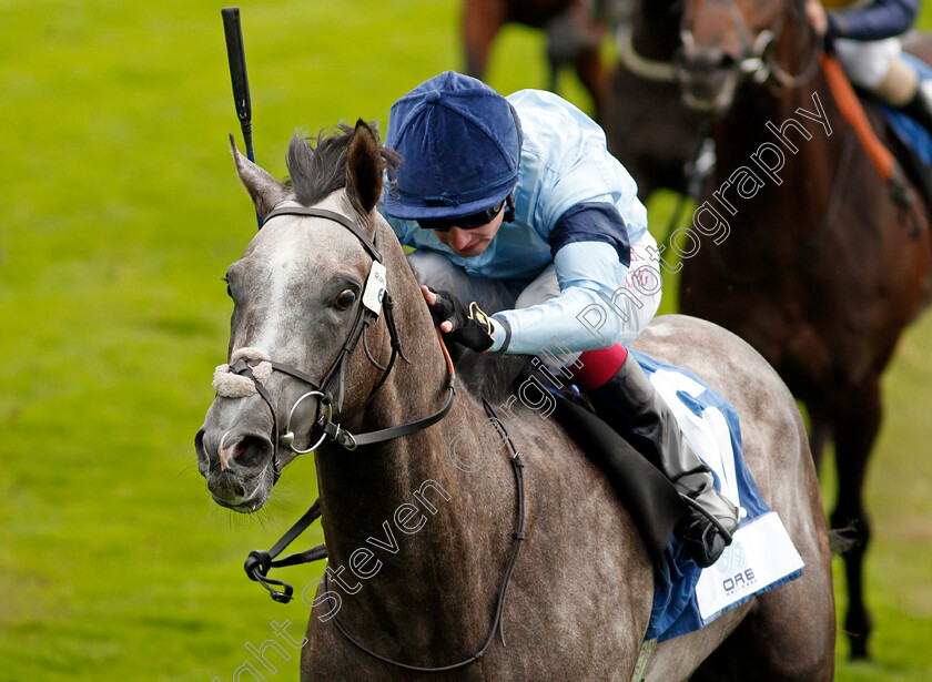 Harrow-0007 
 HARROW (Oisin Murphy) wins The OR8wellness EBF Stallions Nursery
York 19 Aug 2021 - Pic Steven Cargill / Racingfotos.com