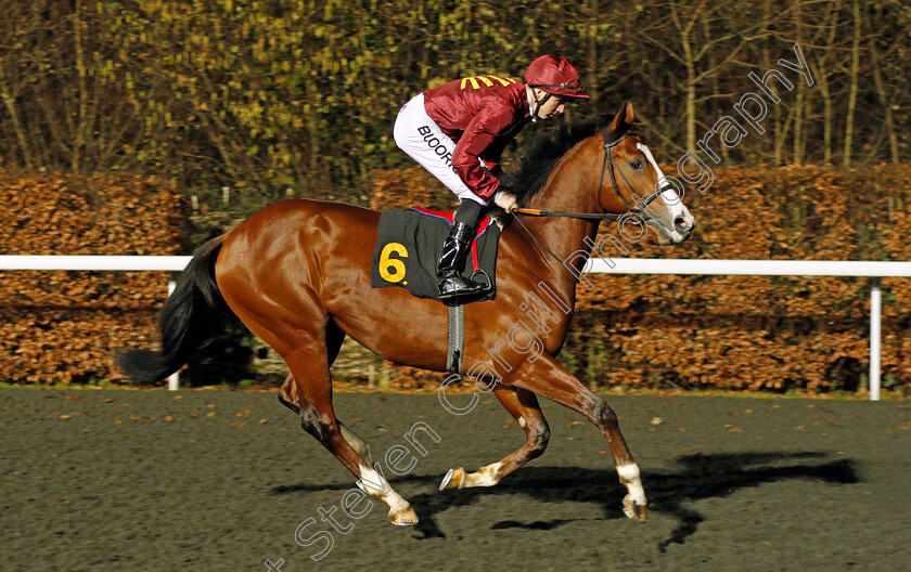 Mr-Ritz-0001 
 MR RITZ (Martin Harley) winner of The 32Red/British Stallion Studs EBF Novice Stakes Kempton 20 Dec 2017 - Pic Steven Cargill / Racingfotos.com