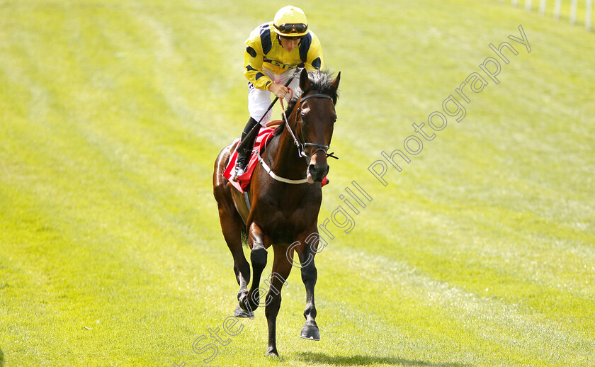 Just-Hubert-0001 
 JUST HUBERT (Tom Marquand) before The Young Stayers Handicap 
Sandown 25 Jul 2019 - Pic Steven Cargill / Racingfotos.com