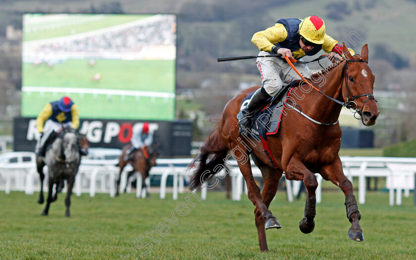 The-Storyteller-0002 
 THE STORYTELLER (Davy Russell) wins The Brown Advisory & Merriebelle Stable Plate Handicap Chase Cheltenham 15 Mar 2018 - Pic Steven Cargill / Racingfotos.com