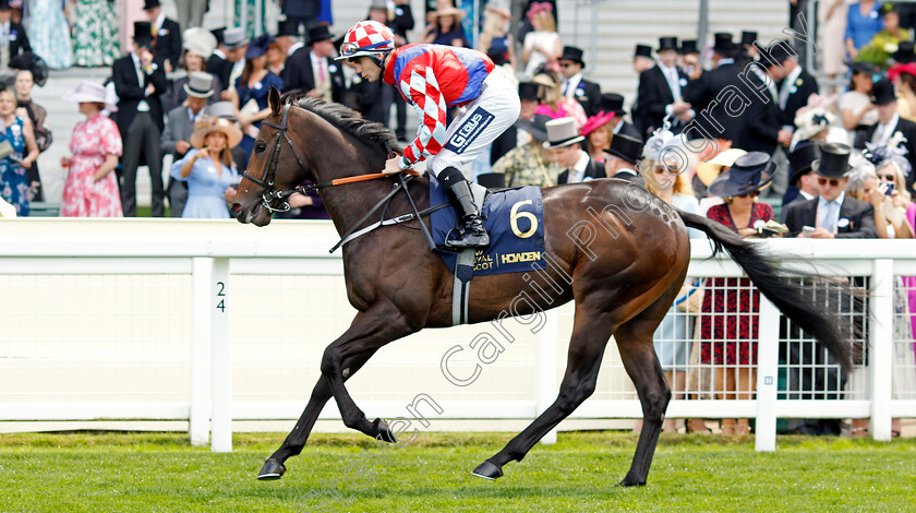 Loom-0001 
 LOOM (Billy Garritty)
Royal Ascot 20 Jun 2024 - Pic Steven Cargill / Racingfotos.com