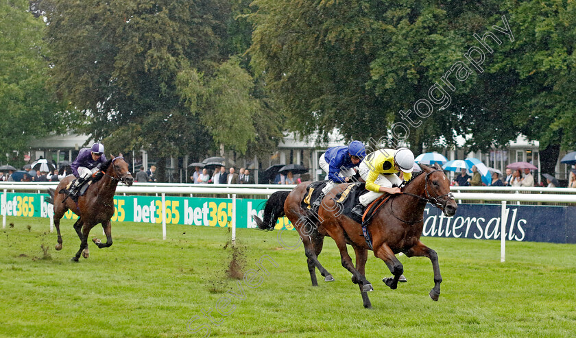 Arabic-Legend-0004 
 ARABIC LEGEND (Rob Hornby) wins The Weatherbys British EBF Maiden Stakes
Newmarket 14 Jul 2023 - Pic Steven Cargill / Racingfotos.com