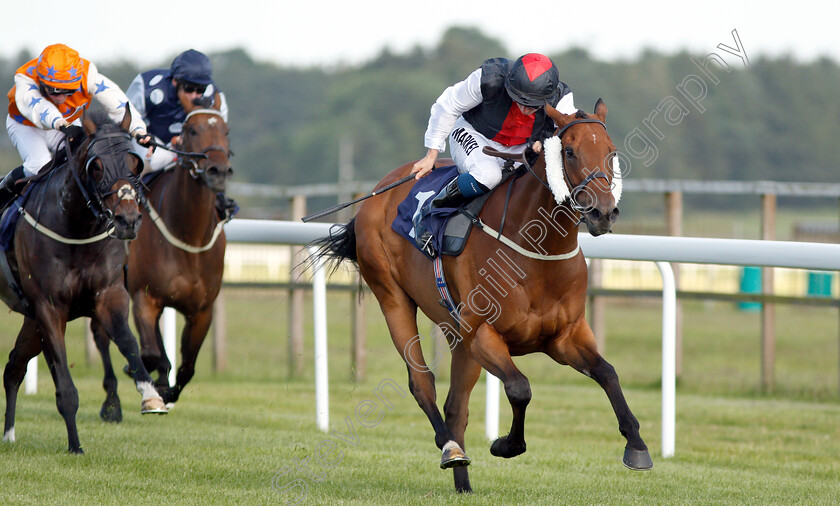 Storm-Melody-0005 
 STORM MELODY (Tom Marquand) wins The Best Free Tips At Valuerater.co.uk Handicap
Bath 3 Jul 2019 - Pic Steven Cargill / Racingfotos.com