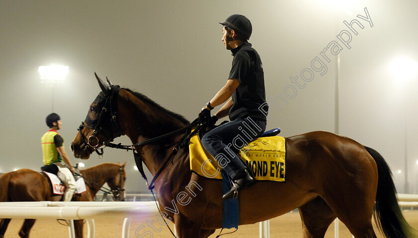 Almond-Eye-0007 
 ALMOND EYE training for The Dubai Turf
Meydan 29 Mar 2019 - Pic Steven Cargill / Racingfotos.com